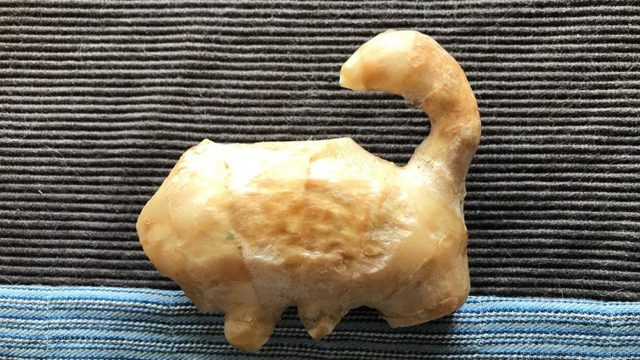 ネッシー？みたいなかわいい生姜です！