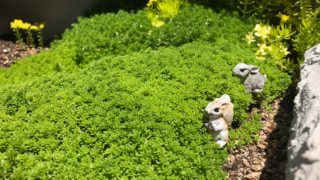 【はぴもりの写真007】「ミニチュア＊動物の森」