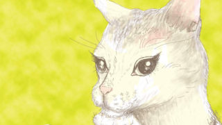 スナックのママ 3