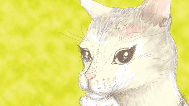 スナックのママ 3